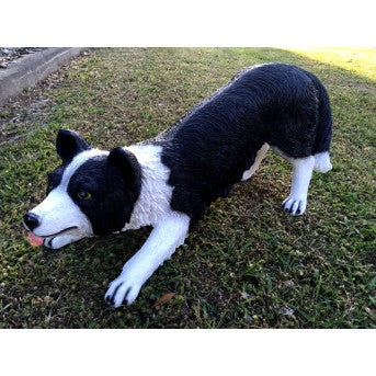 65cm Sheep Dog Statue