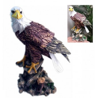 60cm Eagle On Rock