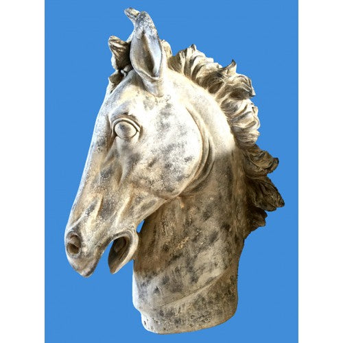 64cm Horse Head Fiberglass