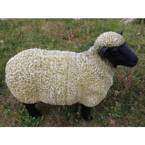 75cm Black Head Sheep Fiberglass