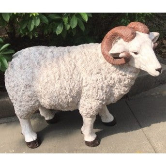 Large White Ram Sheep (107cm)