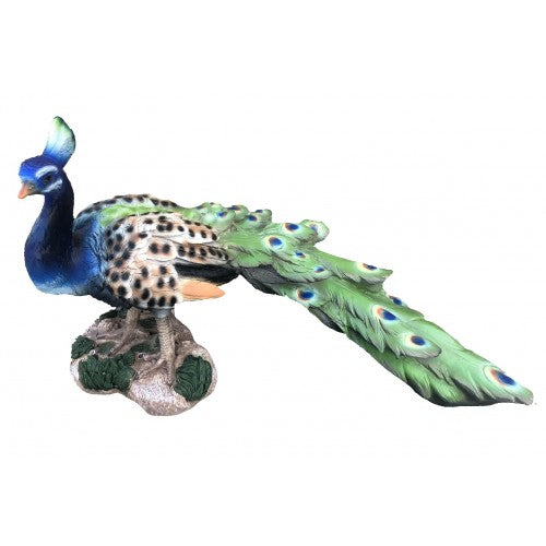 57cm Peacock Fiberglass