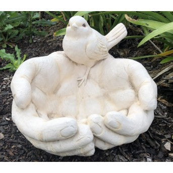 Bird on hand bird feeder