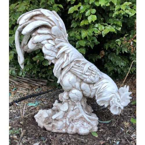 61cm White Rooster Statue Fiberglass