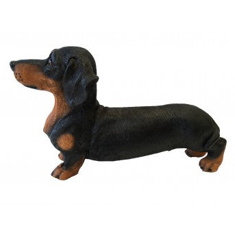 Standing Dashound Dog