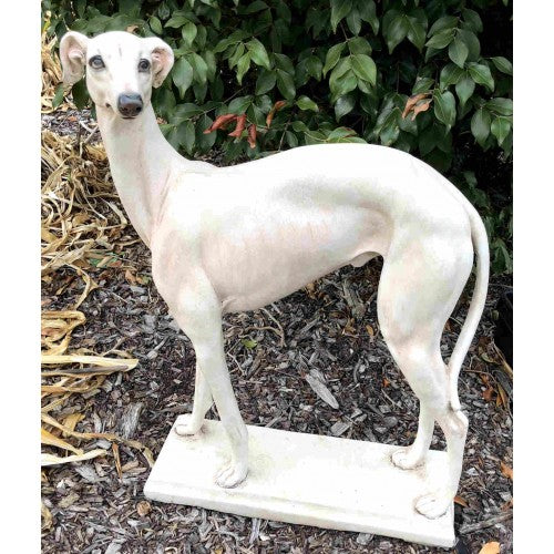 65cm Greyhound Dog Statue
