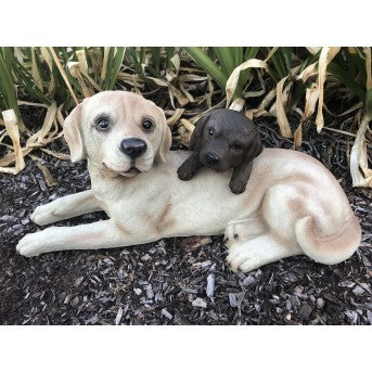 Lying labrador dogs