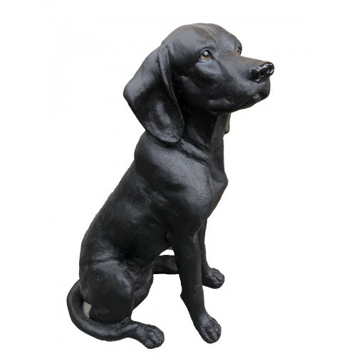 59cm Black Labrador Dog