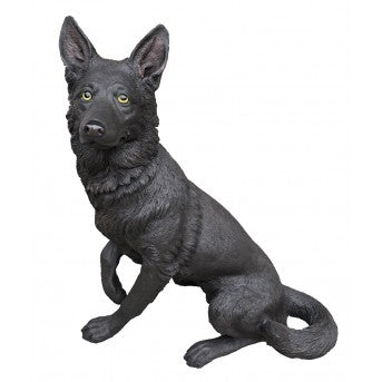 Black german sepherd