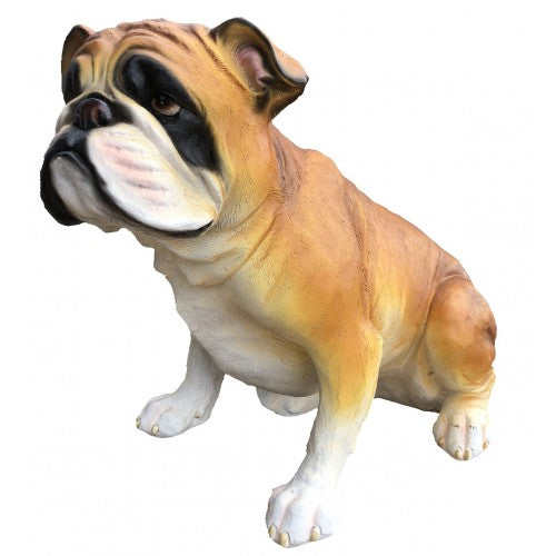 45cm Sitting Bulldog