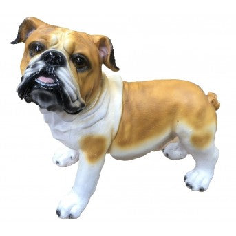 34cm Bulldog Walking