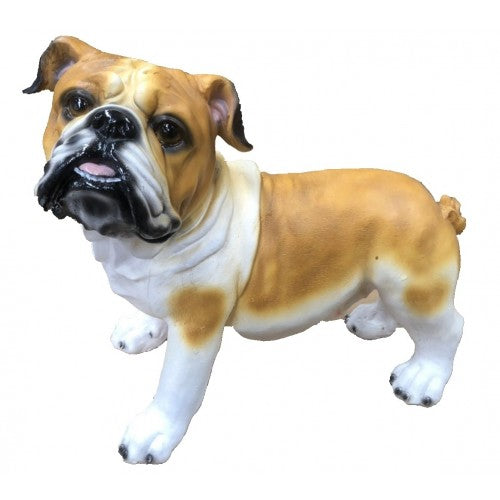 34cm Bulldog Walking