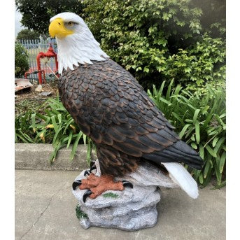 112cm Jumbo Eagle