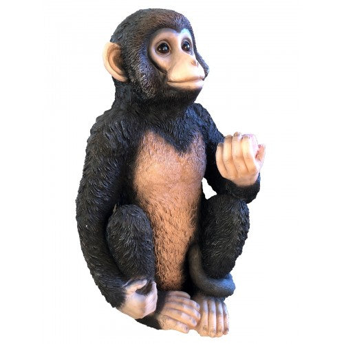 63cm Monkey with Canistel Fiberglass