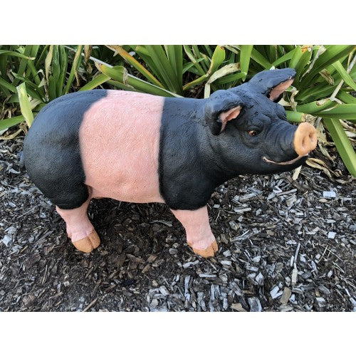 43cm Pig Standing Fiberglass
