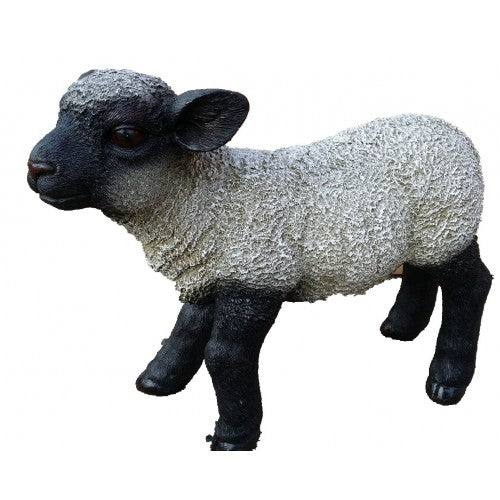 50cm Black Head Lamb Fiberglass