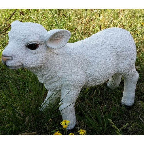 50cm Lamb Walking Fiberglass