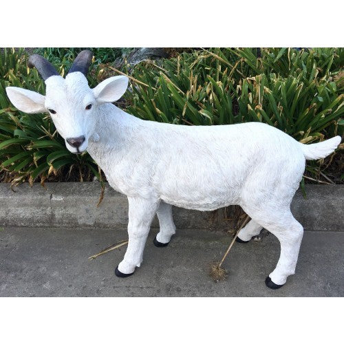 110m Large Goat Fiberglass