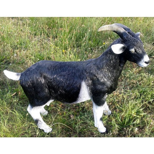 95cm Large Black Goat Fiberglass