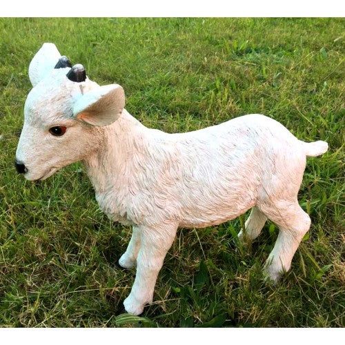 48cm Baby Goat Fiberglass