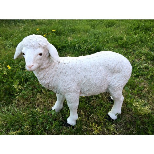 49cm Standing Sheep Fiberglass