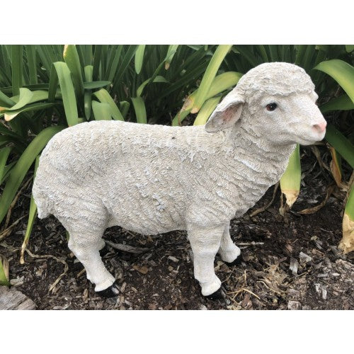 36cm Sheep Statue