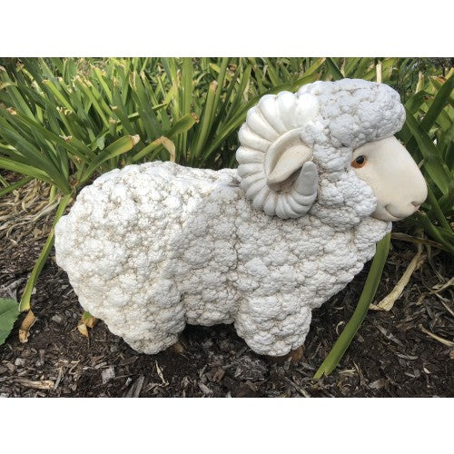 49cm Ram / Sheep Fiberglass