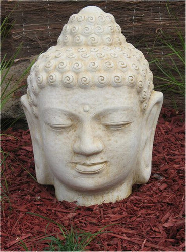 Buddha Head Concrete