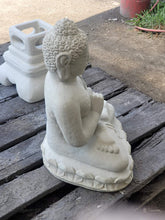 Meditating Sitting Buddha